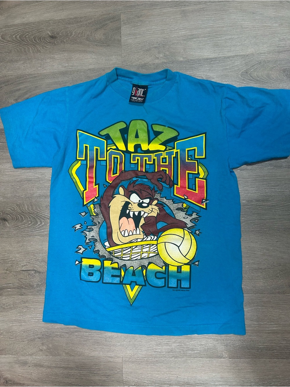 Vintage 1993 Taz To The Beach Tshirt Size M Giant Tag